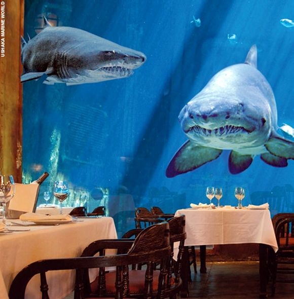 a dining room with tables and chairs under a shark mural on the wall behind them