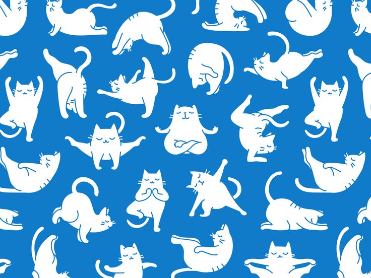 white cats on a blue background