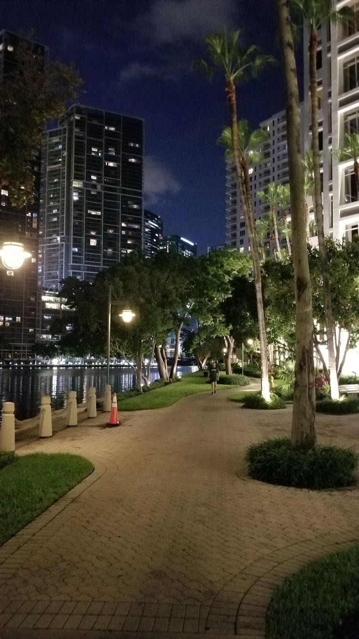 an empty street with palm trees in the foreground and tall buildings in the background