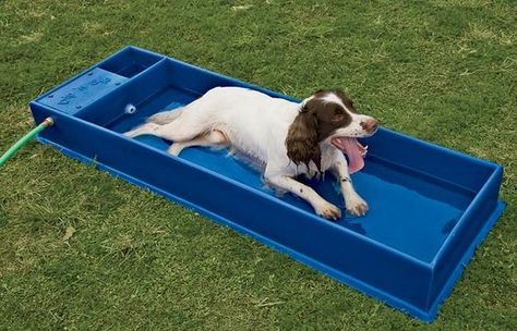 a brown and white dog laying on top of a blue box in the grass with its tongue hanging out