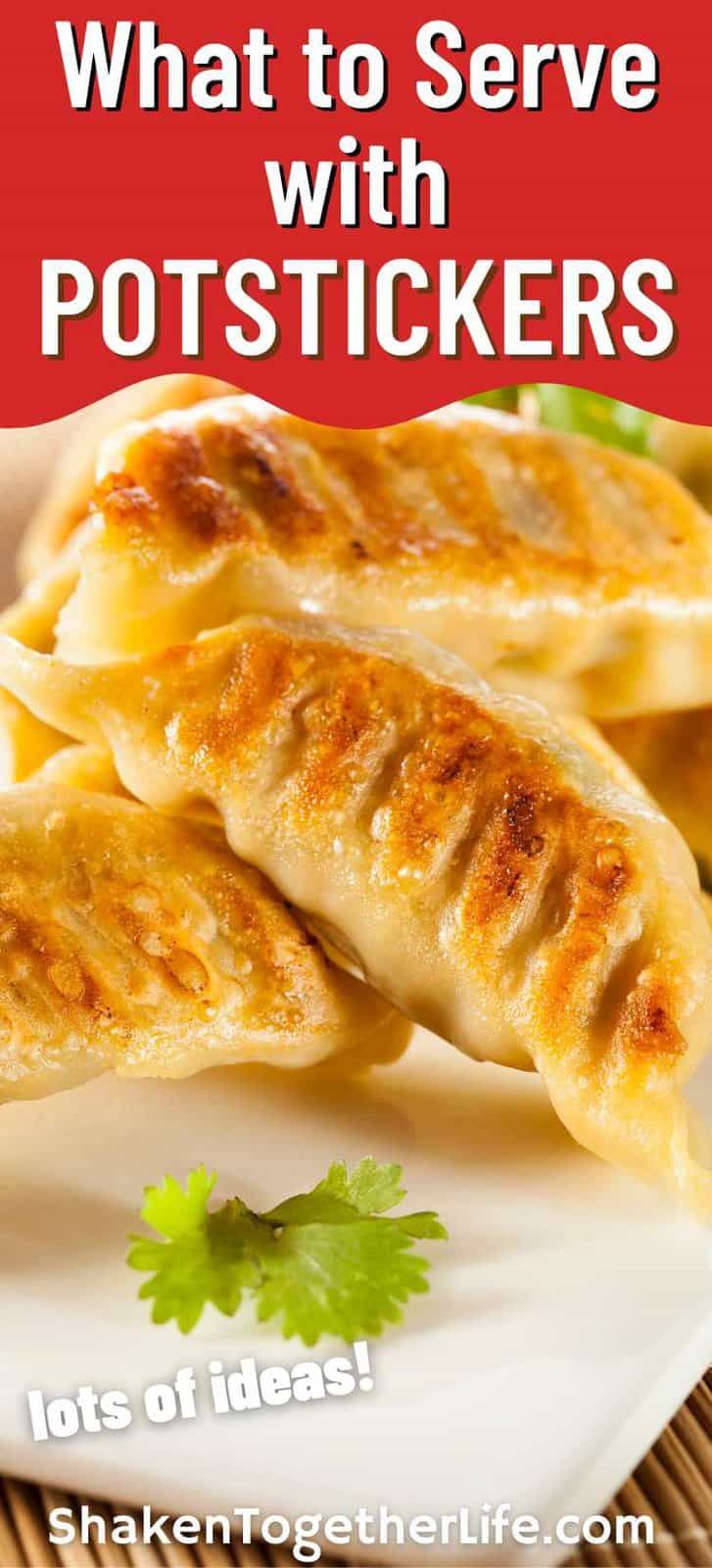 what to serve with potstickers on a plate