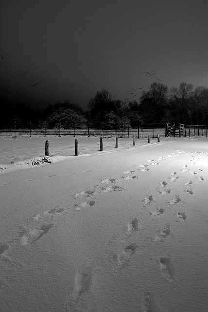 a black and white photo of snow covered ground with footprints in the foreground, birds flying overhead