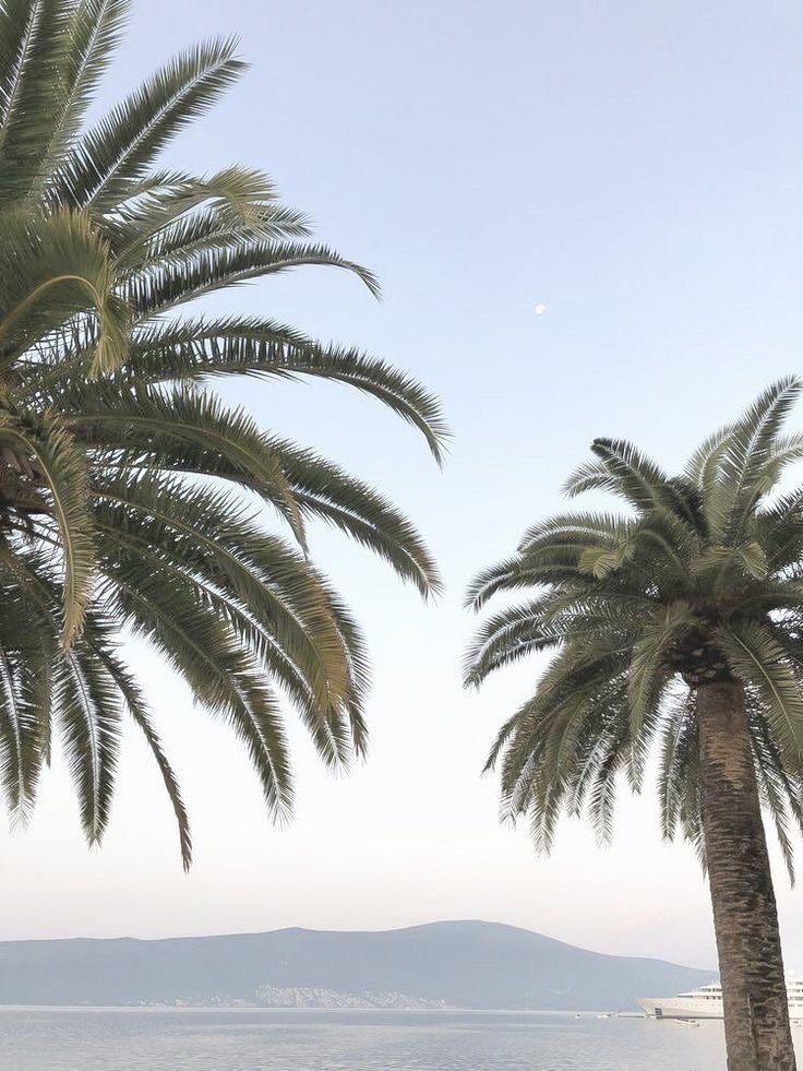 two palm trees with the moon in the sky above them and mountains in the distance