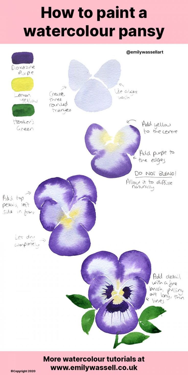 how to paint a watercolour pansy