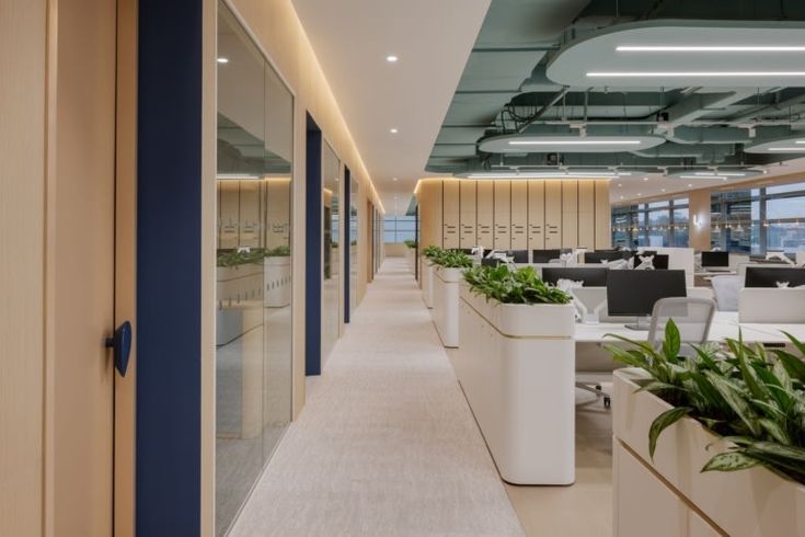 an empty office with plants in planters on the desks