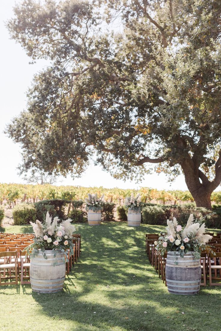 an outdoor ceremony set up with chairs and flowers in buckets on the grass under a large tree