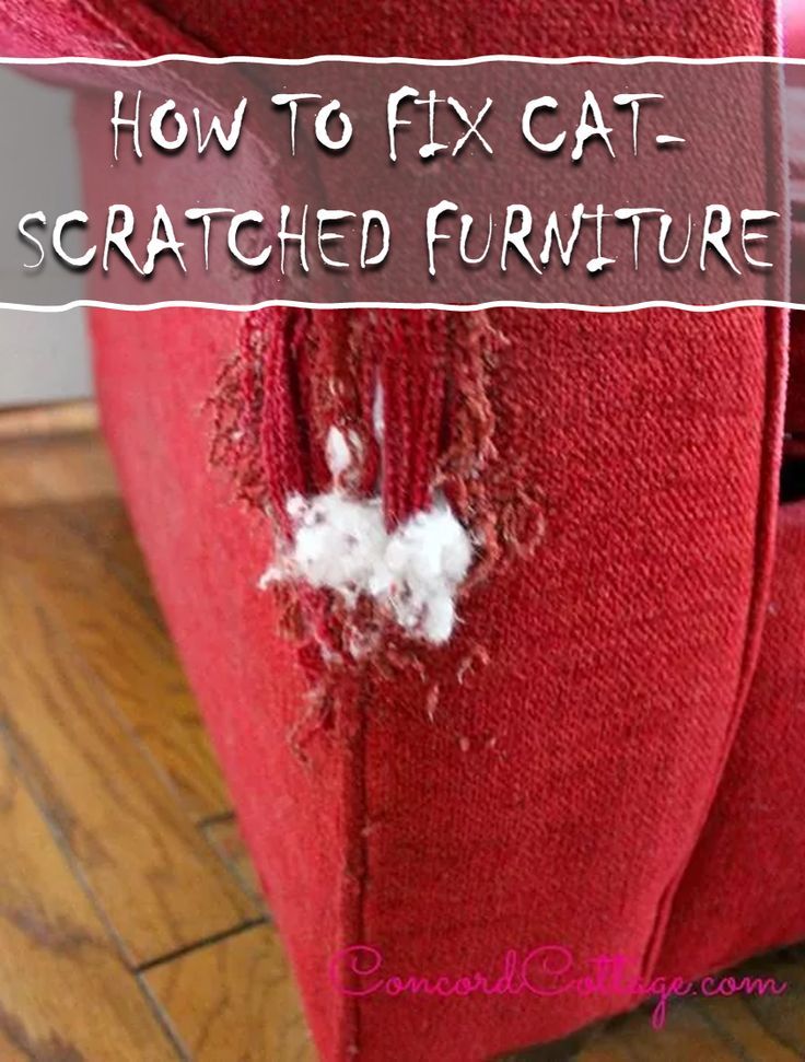 a red piece of furniture with the words how to fix cat scratched furniture