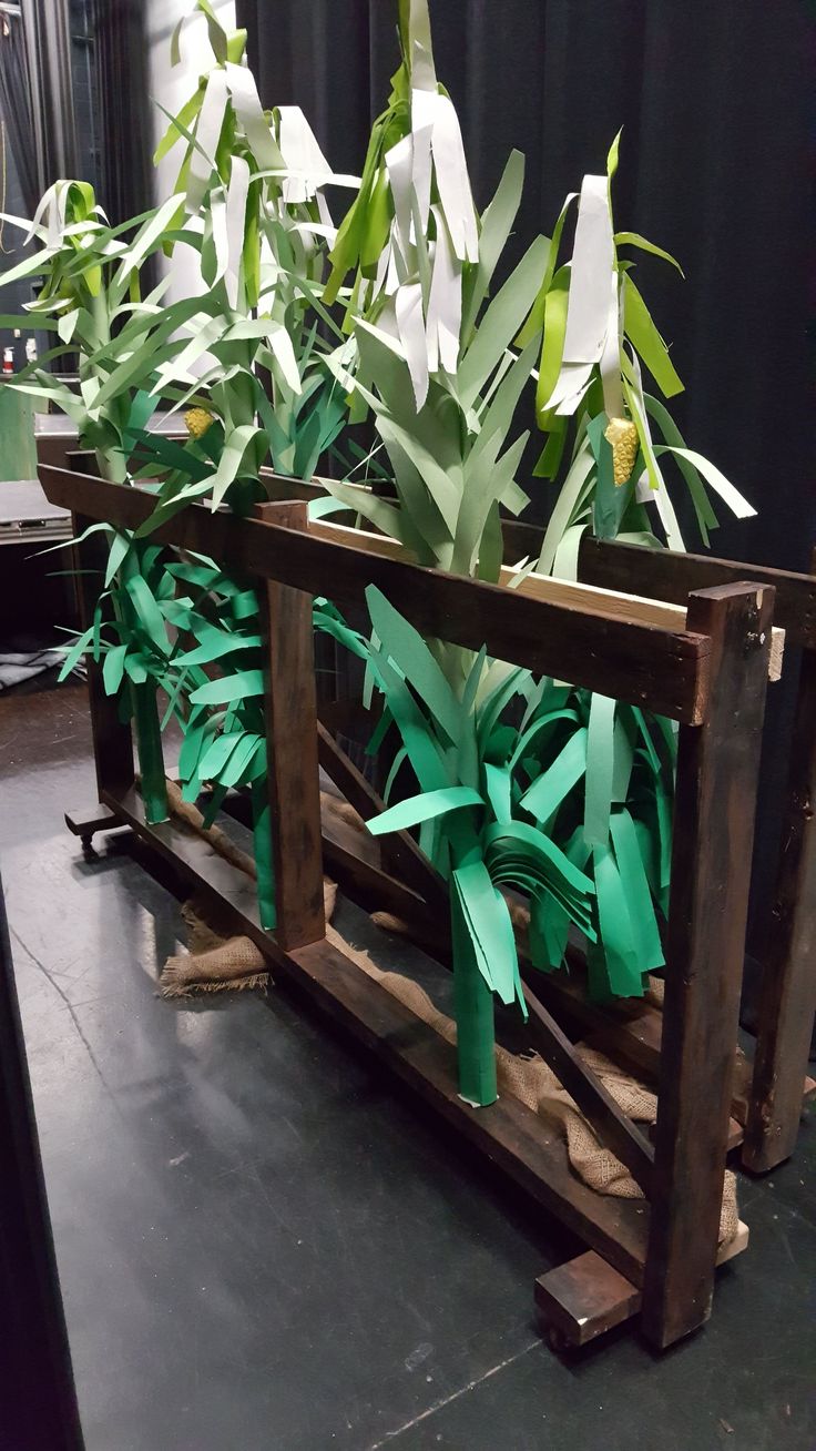 a wooden crate filled with green plants on top of a black tablecloth covered floor