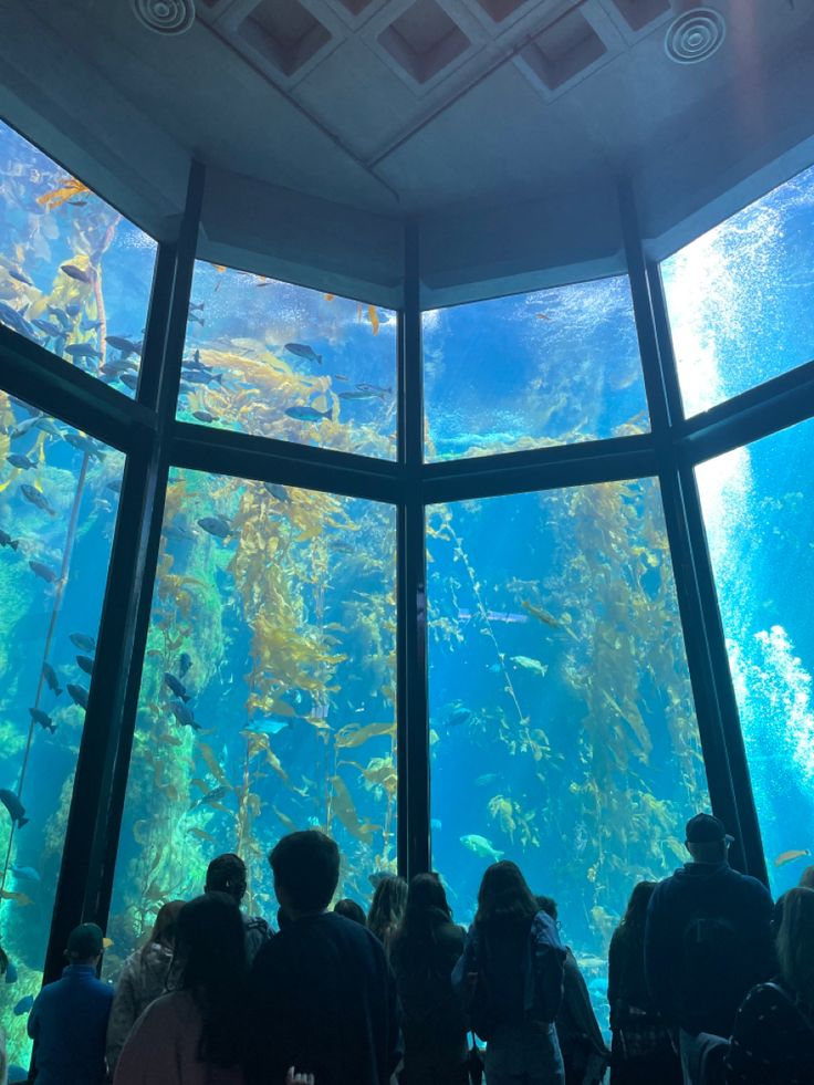 people are looking at the fish in an aquarium through large glass windows that look out onto the water