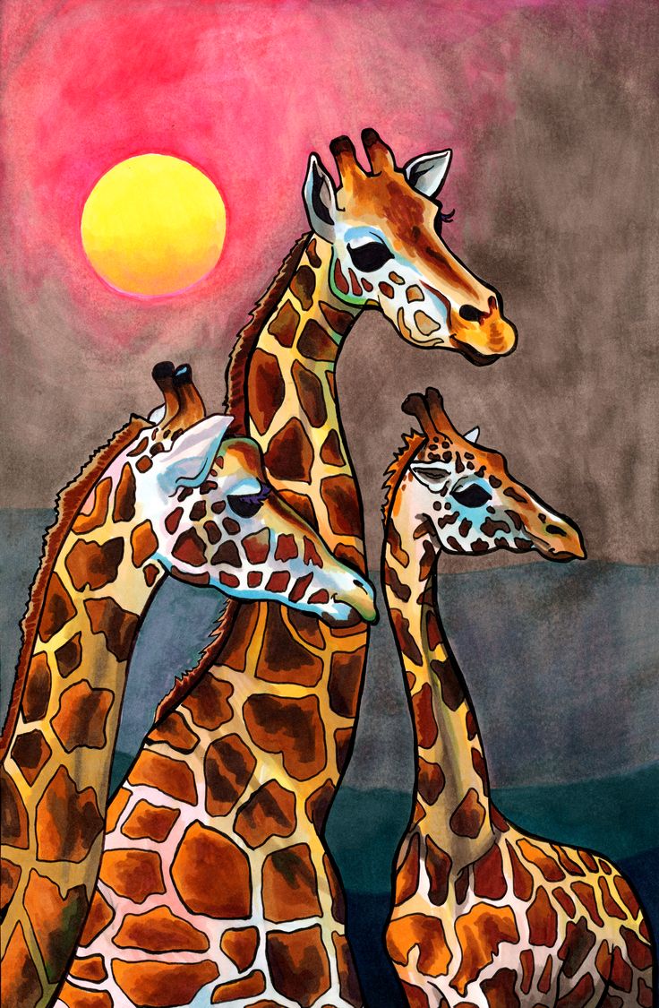 three giraffes are standing together in front of the sun at sunset canvas print