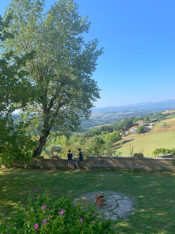 two people sitting on the edge of a stone wall near a tree and grassy field