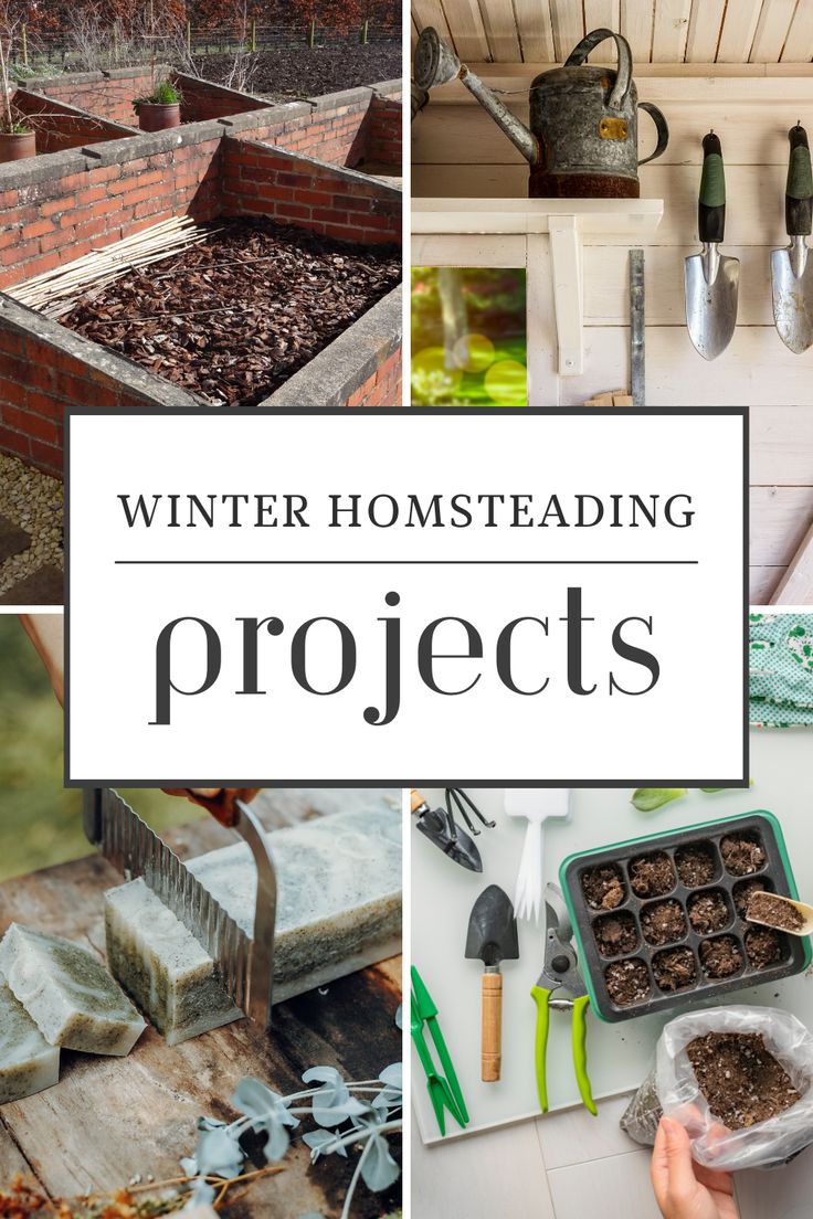 cold frames, cold-tolerant crops, creative projects, firewood harvesting, garden layout planning, gardening season, homemade candles, homemade soaps, homesteading knowledge, homesteading skills, indoor hydroponics, indoor seed starting, off-season productivity, seasonal preparation, Self Sufficiency, Sustainable Farming, Tool maintenance, tool repair, Winter Activities, winter homesteading projects Homesteading In Canada, The Seasonal Homestead, Winter Homestead Aesthetic, Winter Homestead Projects, Home Steading Aesthetic, Homesteading For Beginners Small Spaces, Winter Greenhouse Gardening, Self Sustaining Homestead, Home Steading Ideas