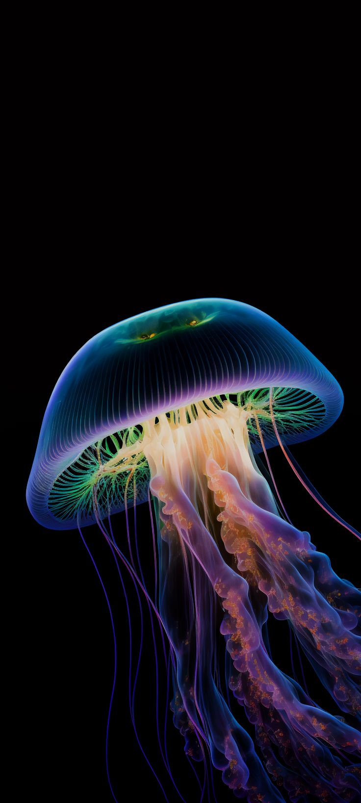 a jellyfish in the dark with its head turned to look like it is floating