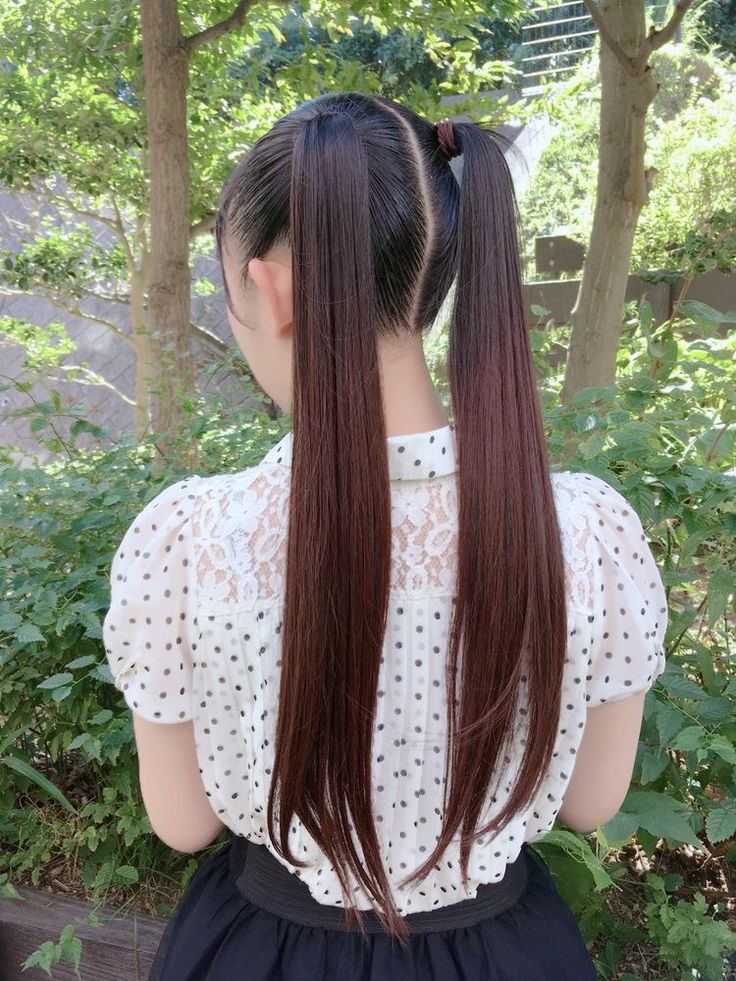 ━ 𝐡𝐚𝐳𝐞𝐥 ☻ Japanese Ponytail Hairstyles, Japanese Pigtails, Twintail Hairstyles, Two High Ponytails, Tomboy Hairstyles For Long Hair, Slick Straight Hair, Pigtails Hairstyle, Hair Tail, Girl Hairdos