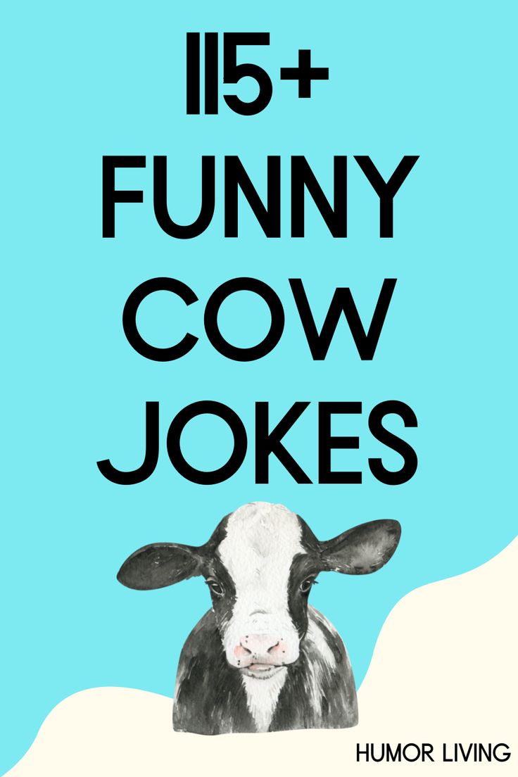 a black and white cow with the words'15 + funny cow jokes'on it