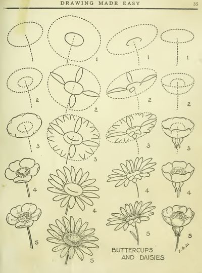 an old book with flowers drawn on it