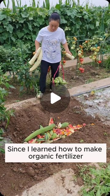 a man is digging in the dirt with vegetables