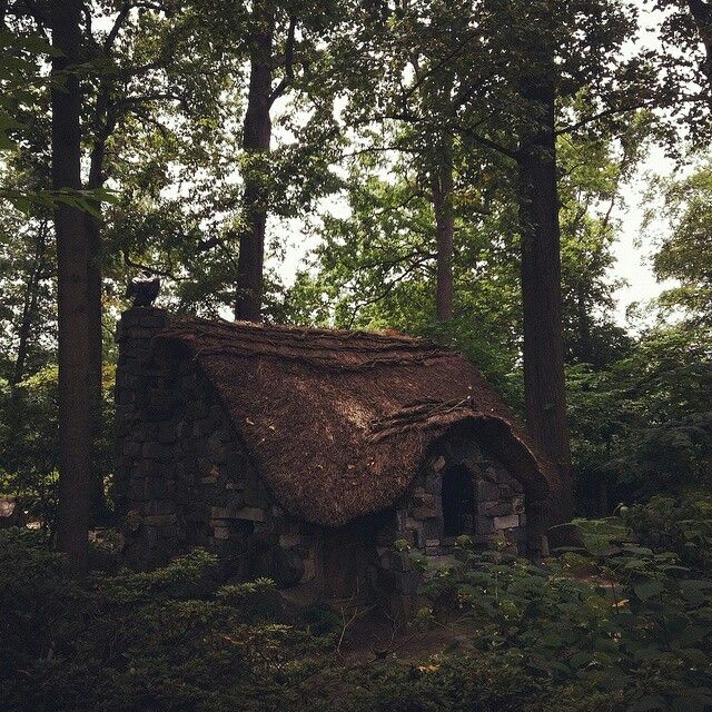 an old house in the woods with a thatched roof and trees around it, surrounded by foliage