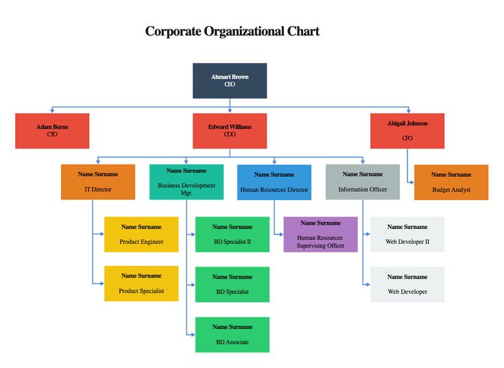 the organizational chart is shown in this diagram