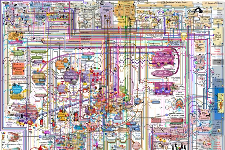 an image of a map with many different things on it, including the streets and buildings