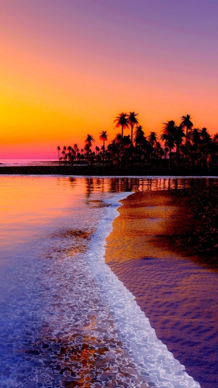 the beach is lined with palm trees as the sun sets over the water and waves roll in