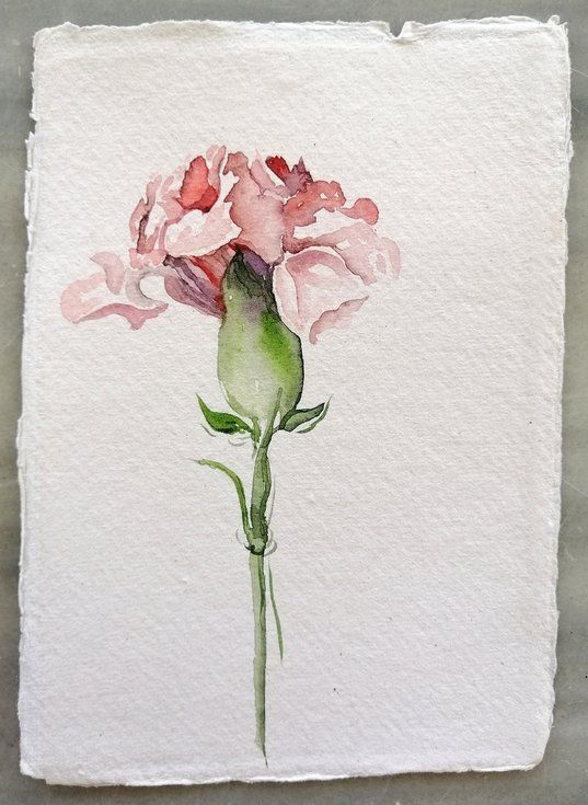 a watercolor painting of pink flowers on white paper