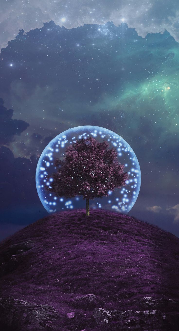 a tree sitting on top of a hill under a sky filled with stars and clouds