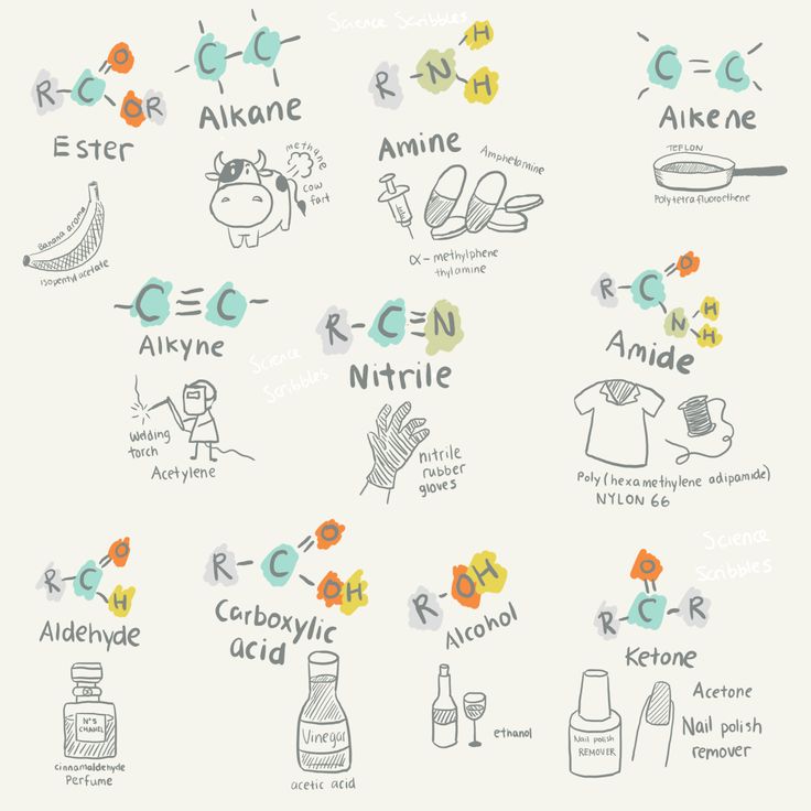 an image of the different types of food and drinks that are labeled in this diagram