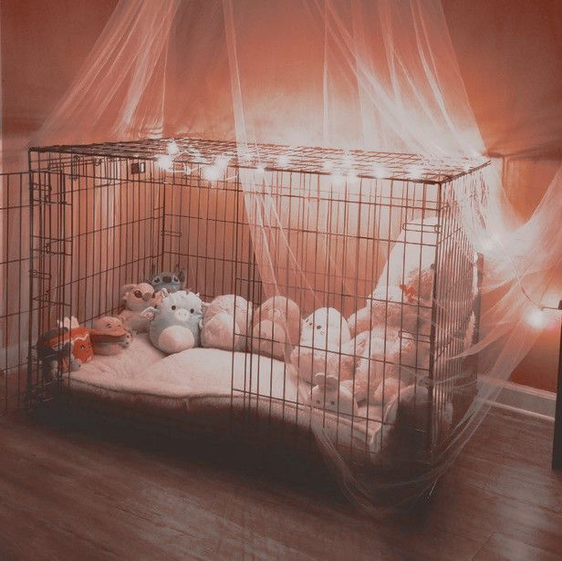 a cage with stuffed animals in it on a wooden floor next to a wall and window