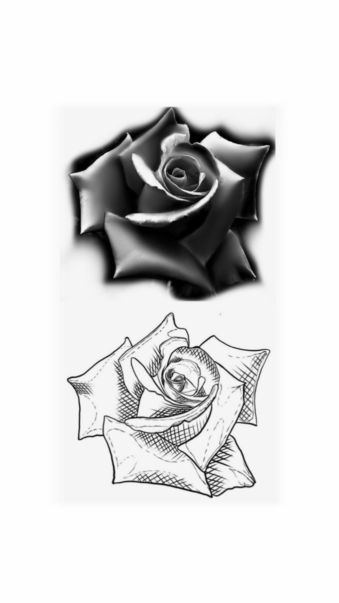 a black and white drawing of a rose