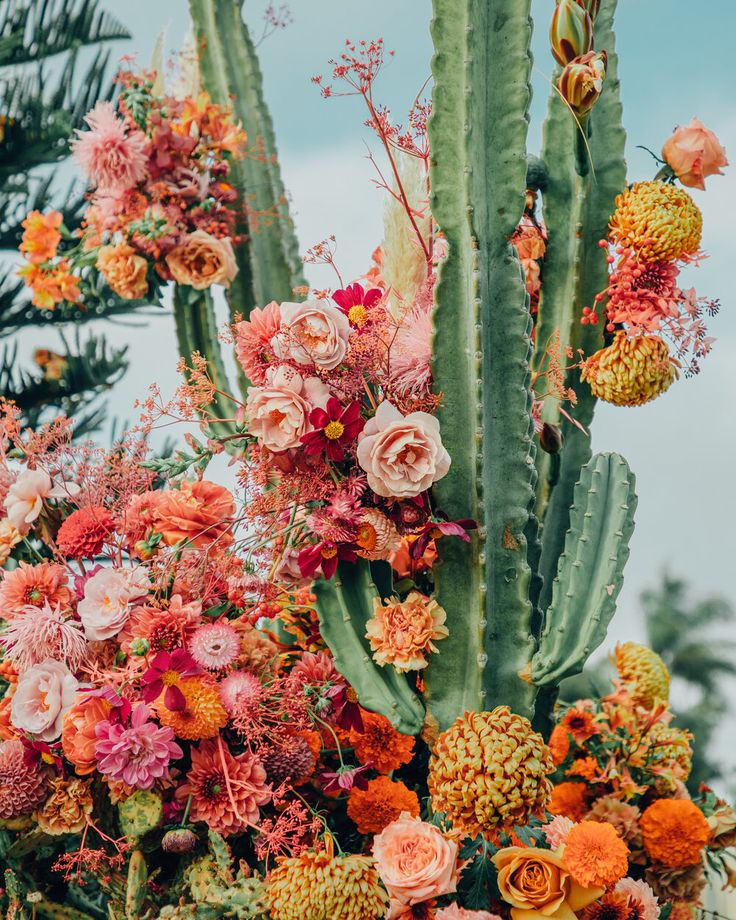 an arrangement of flowers and cactus plants with sky in the background