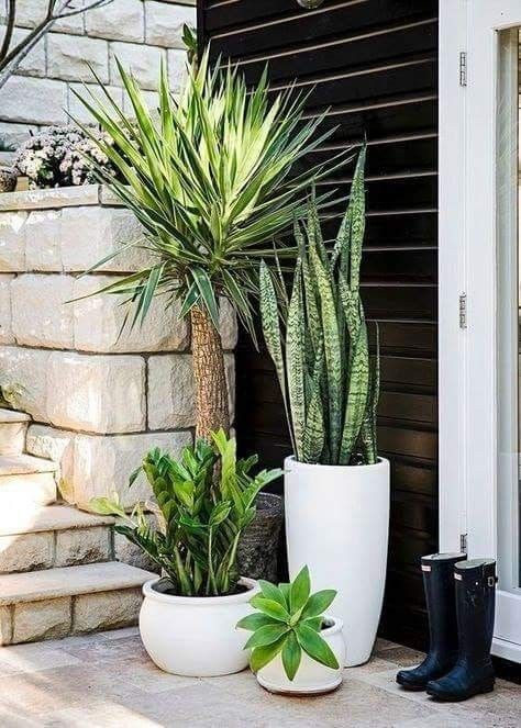 two potted plants sitting next to each other in front of a door with the caption tara denis'ideas for the outdoorss