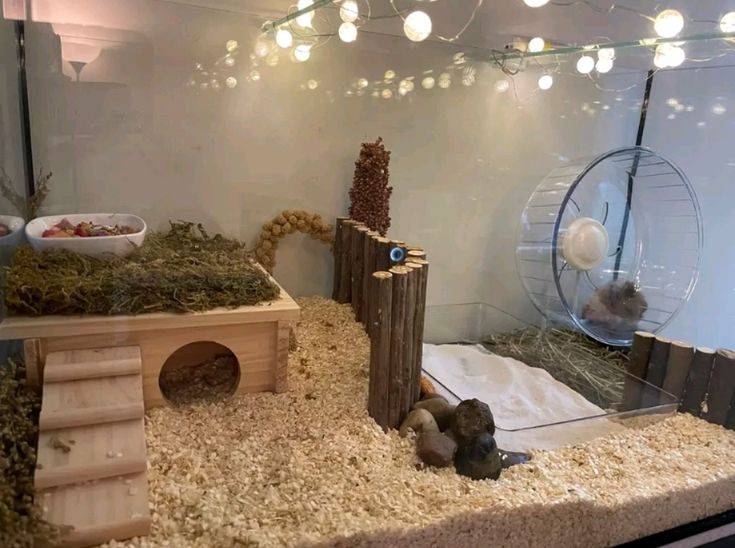 a hamster in a cage with some rocks and grass on the ground next to it