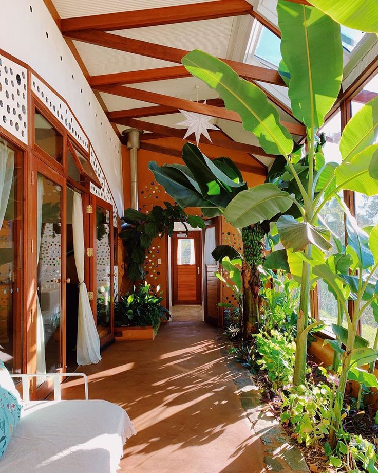 the inside of a house with lots of green plants and potted plants on the porch