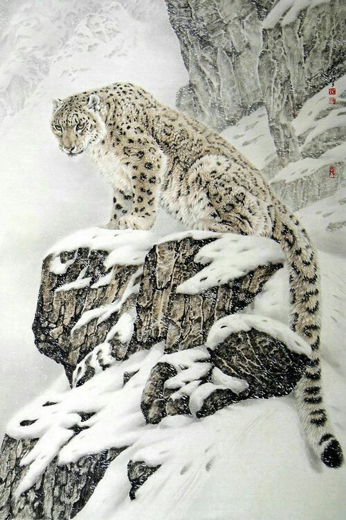 an image of a snow leopard on top of a rock with the caption instagram