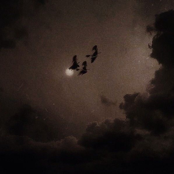 three birds flying in the sky at night