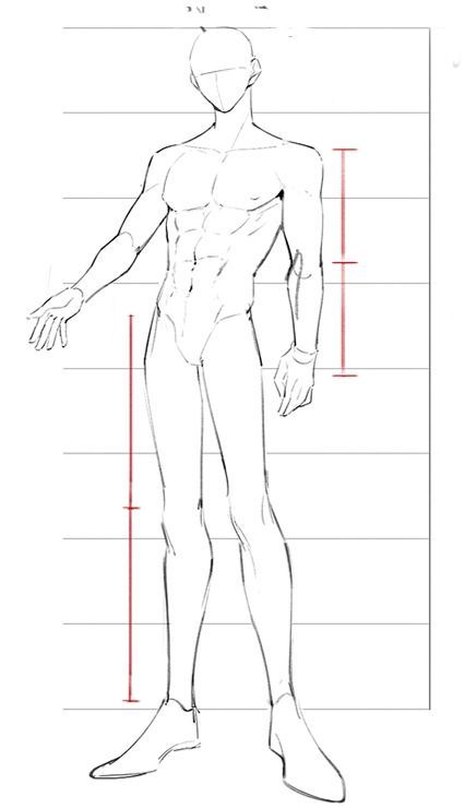 a drawing of a man's body with the measurements for each arm and chest