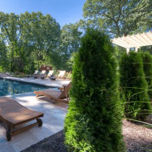 a pool surrounded by lush green trees and shrubbery next to a patio with chaise lounges