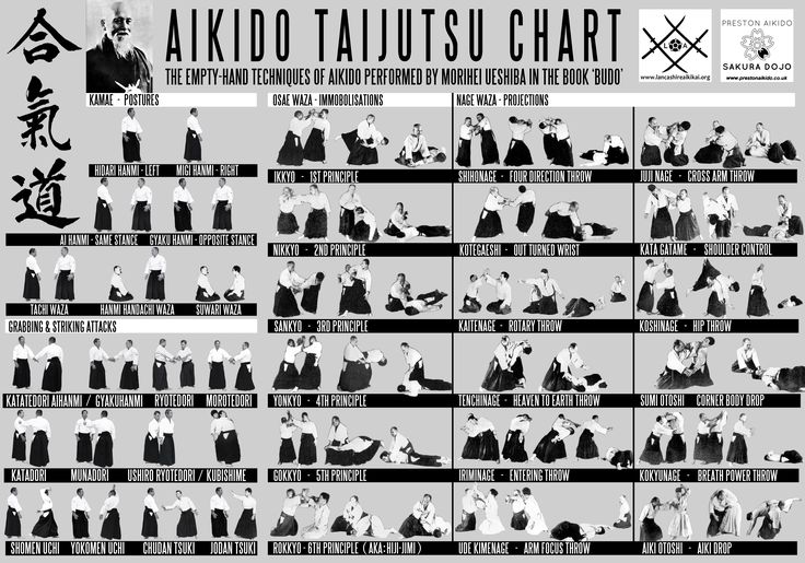 an info sheet showing how to do the aikido taijutsuu chart