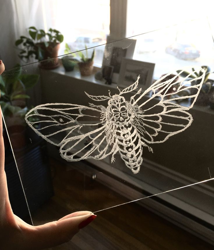 a hand holding a piece of glass with a drawing of a bee on it in front of a window