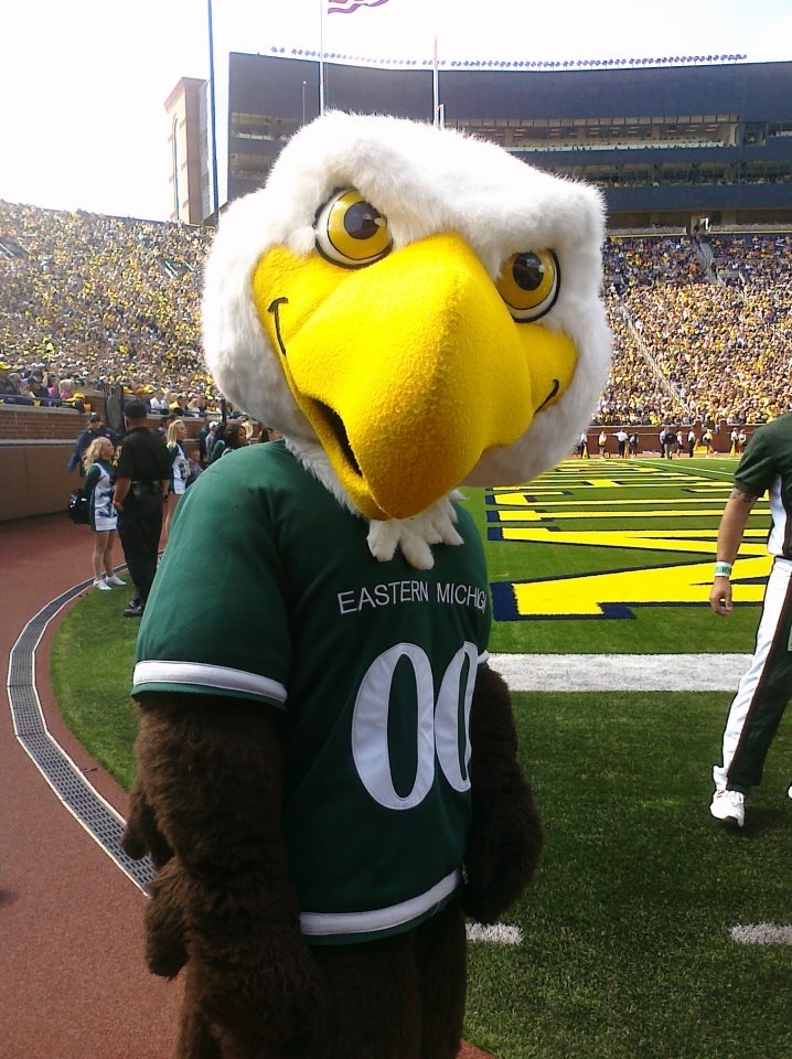 an eagle mascot is standing on the field at a football game