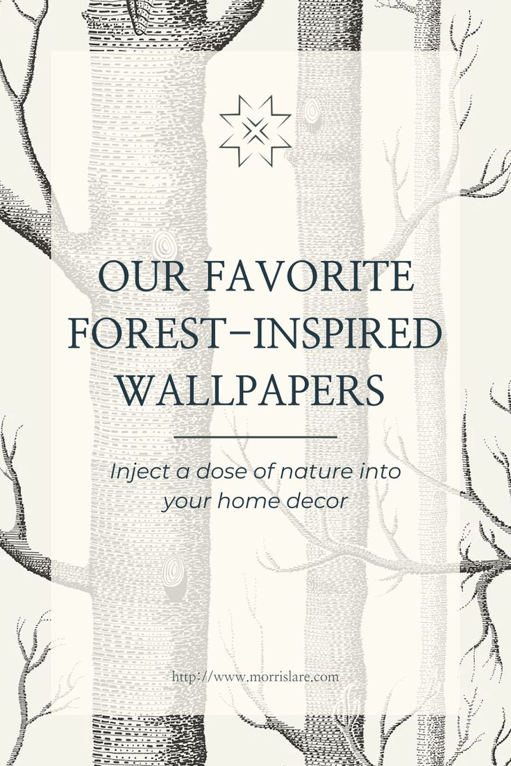 the front cover of our favorite forest - inspired wallpapers