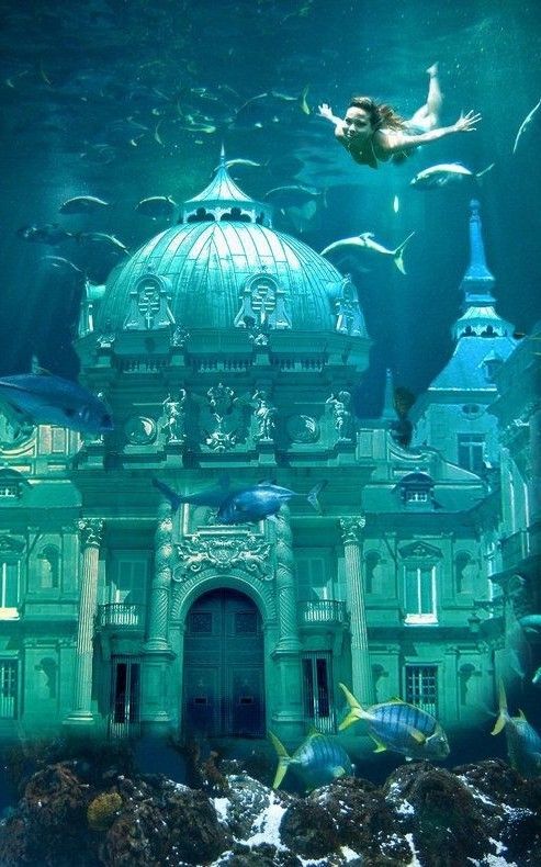 an underwater view of a building with many fish swimming around in the water below it