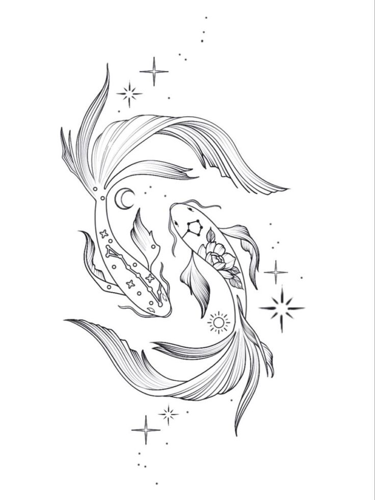 two koi fish swimming in the water with stars around them, one is black and white