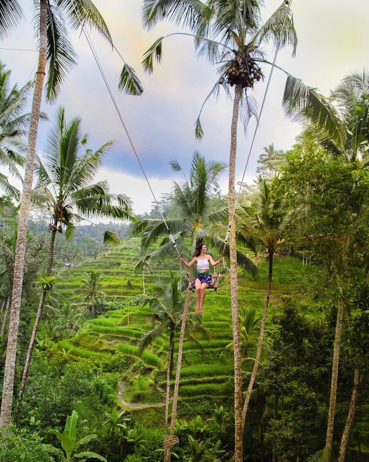 a woman standing on a rope in the middle of some trees and rice fields with palm trees around her