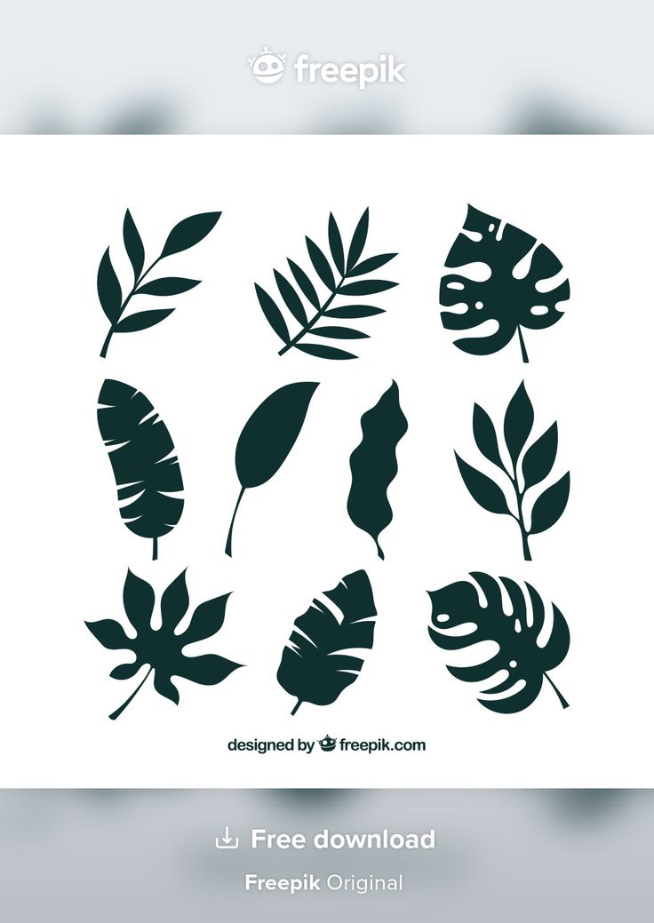 tropical leaves silhouettes on white background