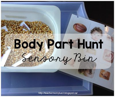 the body part hunt activity is shown with pictures on it and in front of them