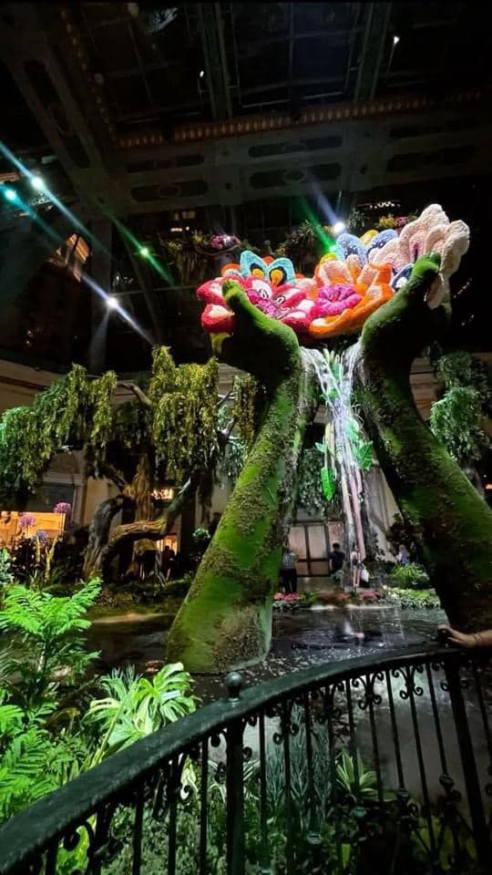 two hands are holding a waterfall in the middle of an indoor garden area at night