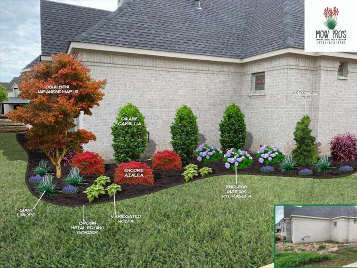 the front yard with landscaping and landscaping information for each house, including trees, shrubs, bushes