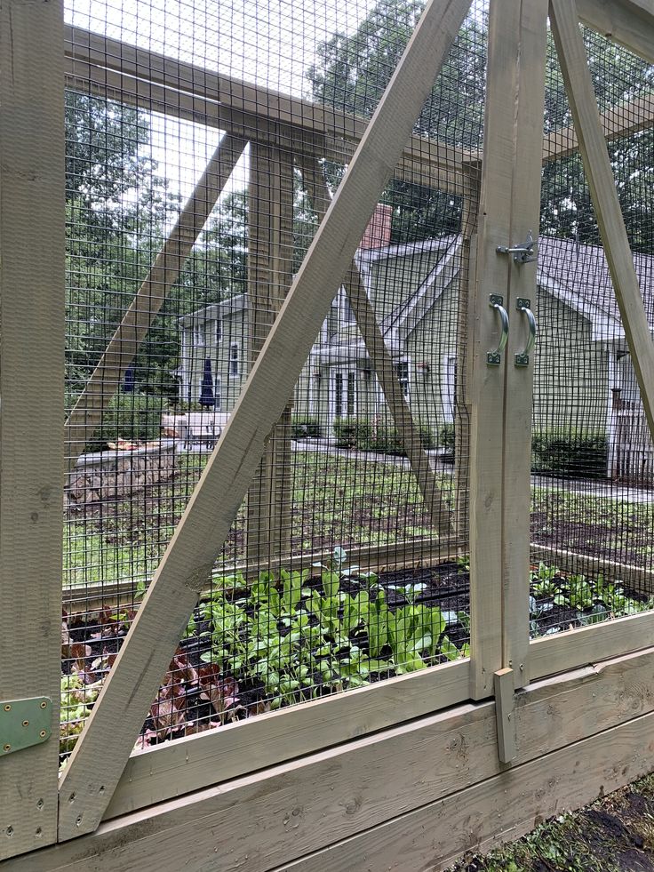 a fenced in vegetable garden with lots of plants